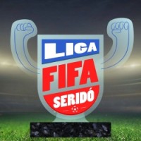 Fifa Webcup